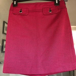 Ann Taylor Loft skirt
